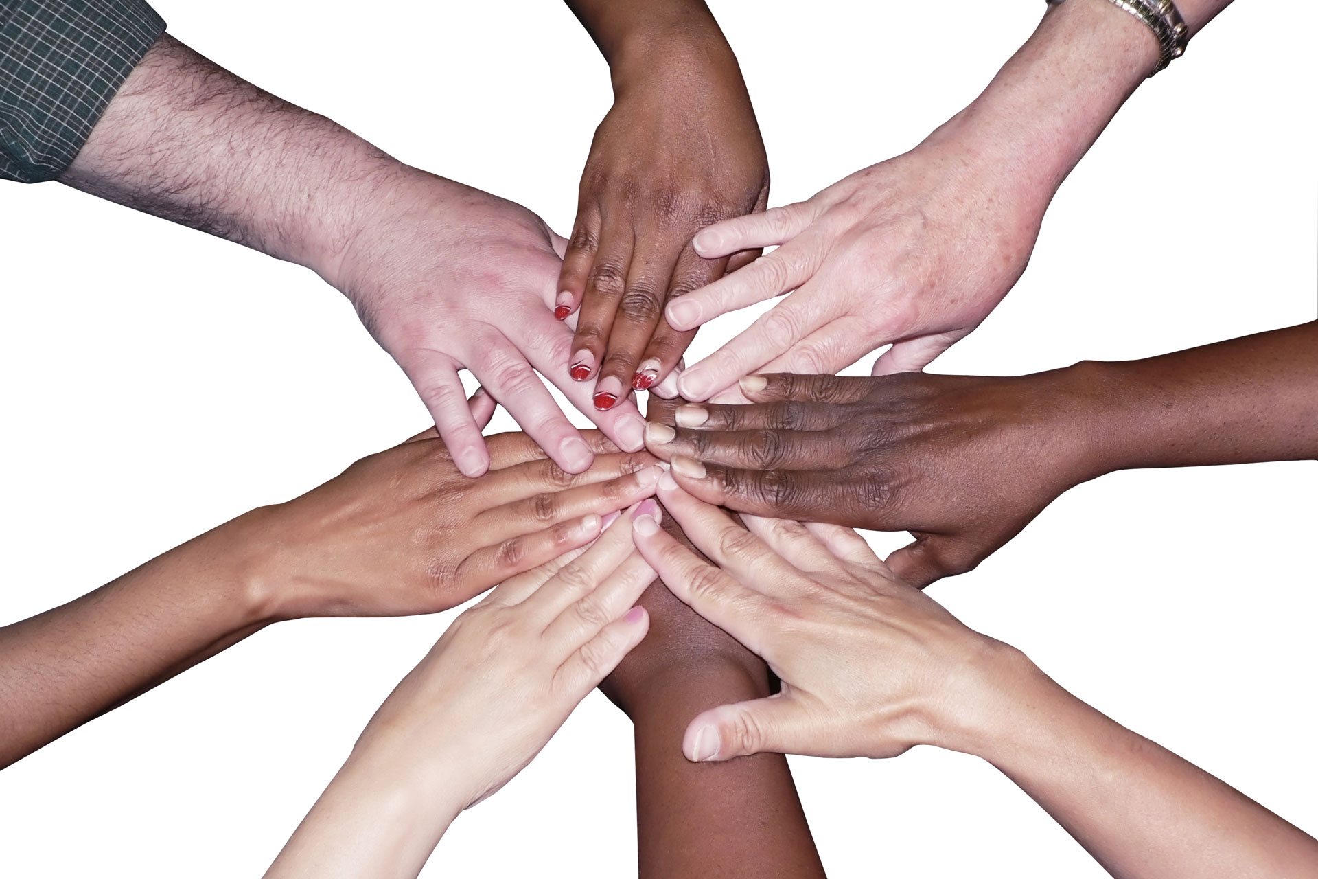 diversity